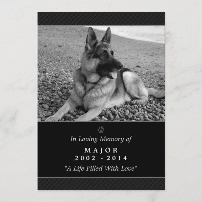 Pet Memorial Card 5"x7" Schwarz - Gott sah Sie Ged Programm (Vorderseite)