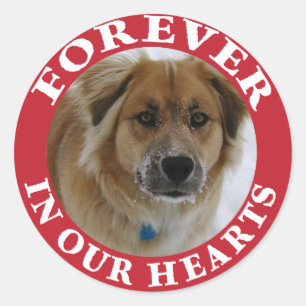 Pet Memorial Forever Holiday rot Runder Aufkleber