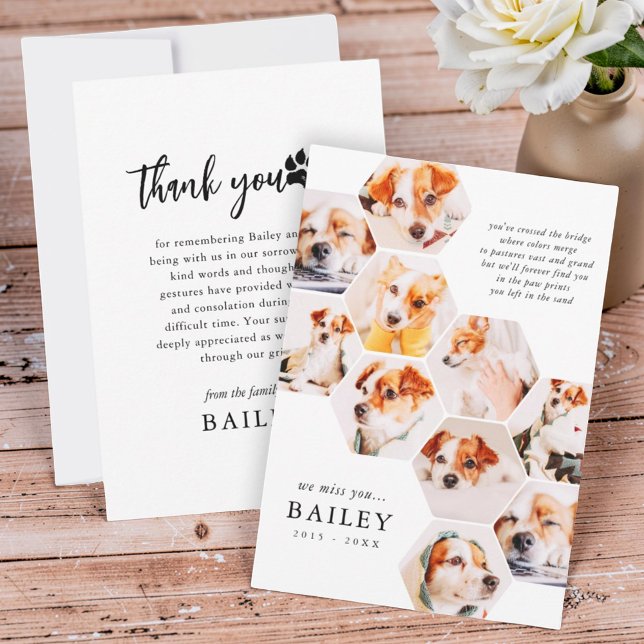 Pet Memorial Modern Simple 10 Photo Collage Dankeskarte (Von Creator hochgeladen)