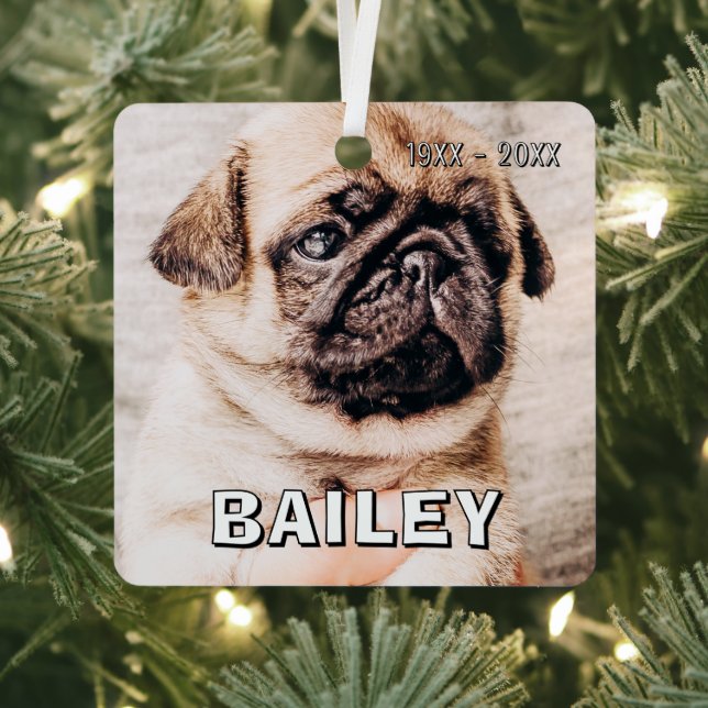 Pet Memorial Modern Simple Custom Photo Ornament Aus Metall (InSitu)