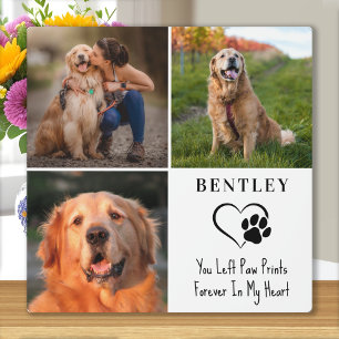 Pet Memorial Personalisiert 3 Fotos Paw Prints Fotoplatte