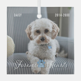 Pet Memorial Pet Loss Keepake Foto und Name Ornament Aus Glas