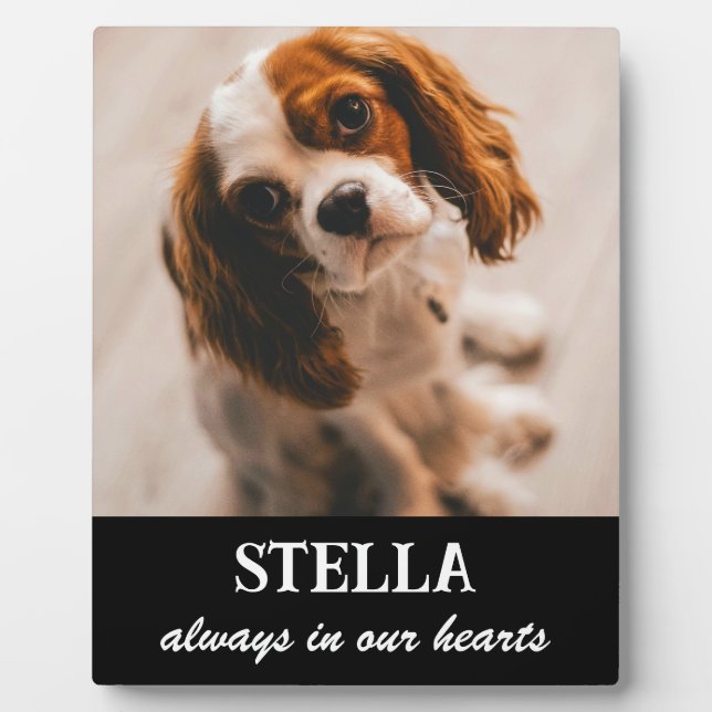 Pet Memorial Picture Plaque Fotoplatte (Vorderseite)