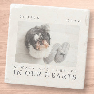 Pet Memorial Quote Simple Modern Chic Photo Steinuntersetzer