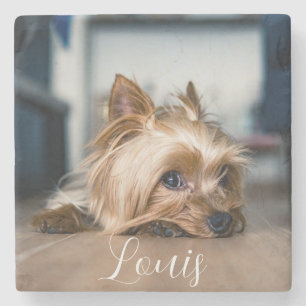 PET NAME Stone Untersetzer