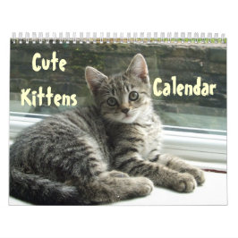 Pet Niedlich Kitten Cat Peace Liebe Destiny Kalender