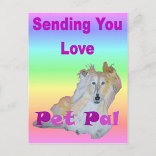 Pet Pal Postkarte