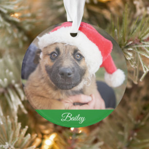 Pet Personalisiert Classic Pine Tree Weihnachten Ornament