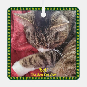 Pet Photo Green Gold Border Name Saying Ornament