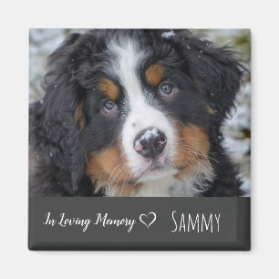 Pet Photo Memorial - Pet Loss - In Loving Memory Magnet
