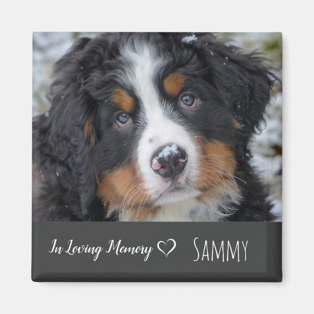 Pet Photo Memorial - Pet Loss - In Loving Memory Magnet (Vorne)