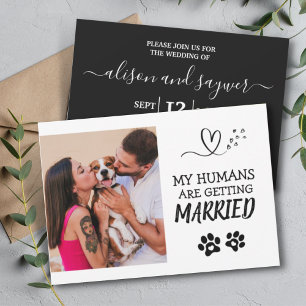 Pet Photo Modern Simple Black and White Wedding Einladung