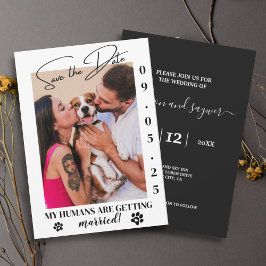 Pet Photo Simple Wedding Save the Date Online Einladung