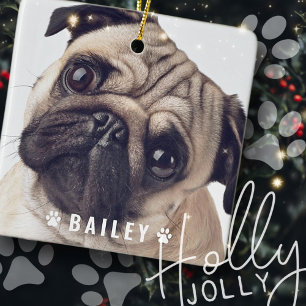 Pet Photos on Dog Paws Name Plate Keramikornament