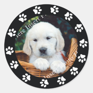 Pet Puppy Dow Paw Print Border Frame Aufkleber Eti