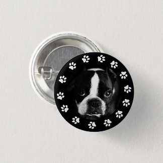 Pet Puppy Hund Foto Pfoten Rahmen rund gebrochen F Button