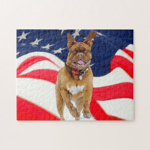 Pet Puppy Pride Puzzle