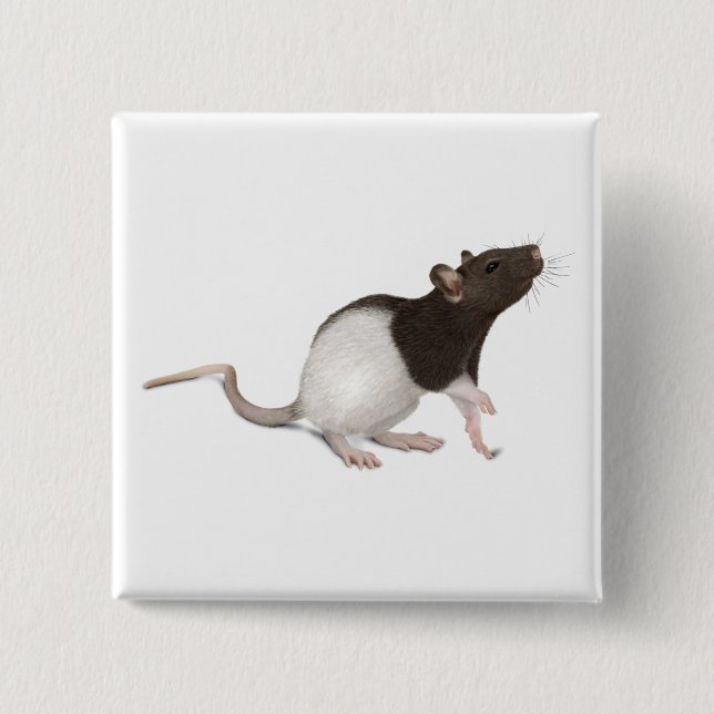 Pet Rat Painting Button (Vorderseite)