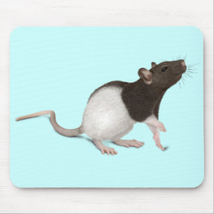 Pet Rat Painting Mousepad