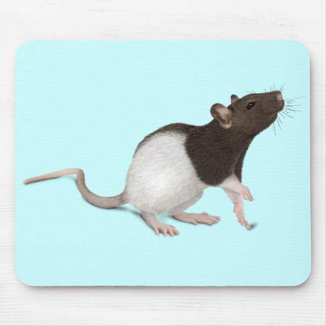 Pet Rat Painting Mousepad (Vorne)