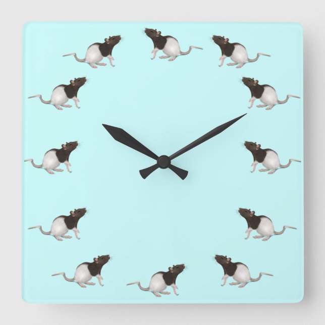 Pet Rat Painting Quadratische Wanduhr (Vorderseite)