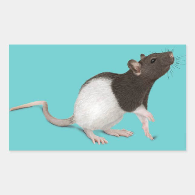 Pet Rat Painting Rechteckiger Aufkleber (Vorderseite)