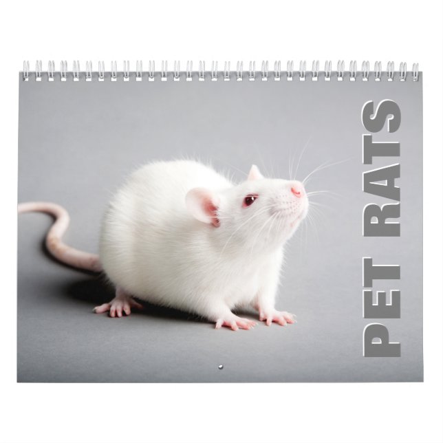 Pet Rats Wall Calendar Kalender (Titelbild)