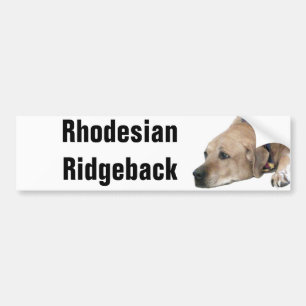 Pet Rhodesian Ridgeback Dog Picture Autoaufkleber
