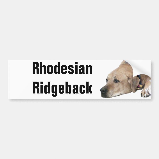 Pet Rhodesian Ridgeback Dog Picture Autoaufkleber (Vorne)