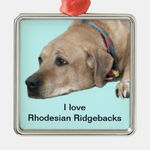 Pet Rhodesian Ridgeback Dog Picture Silbernes Ornament
