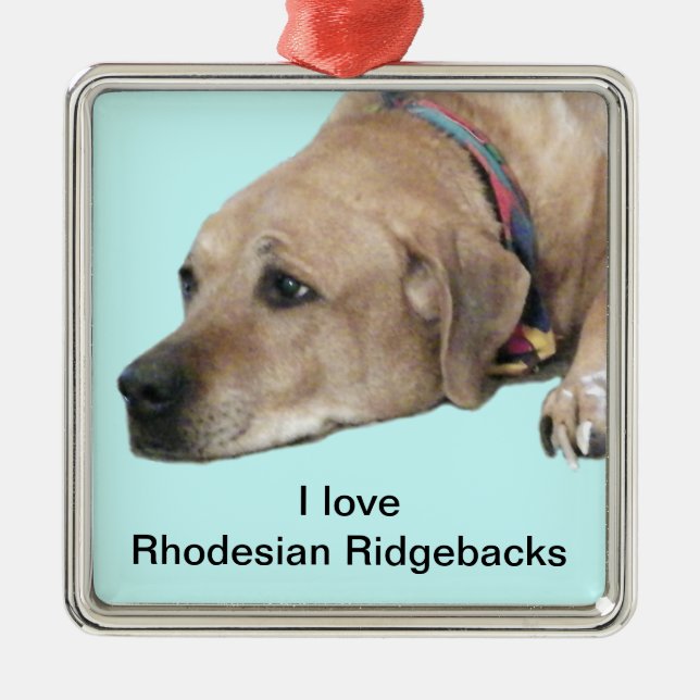 Pet Rhodesian Ridgeback Dog Picture Silbernes Ornament (Vorne)