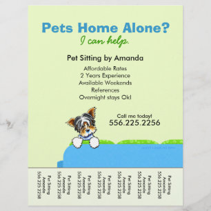 Pet Sitter Ad Yorkie Couch Green Tesheet Flyer