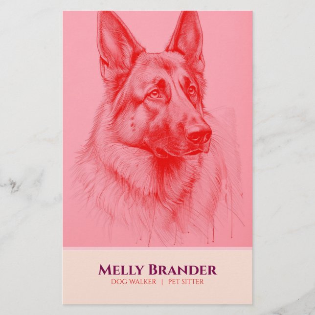 Pet Sitter Walker Flyer (Vorne)