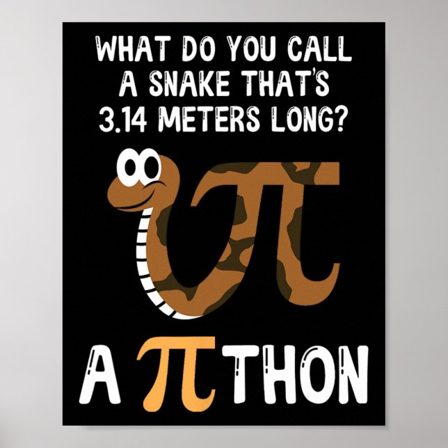Pet Snake Math Pi Day Python Poster (Vorne)