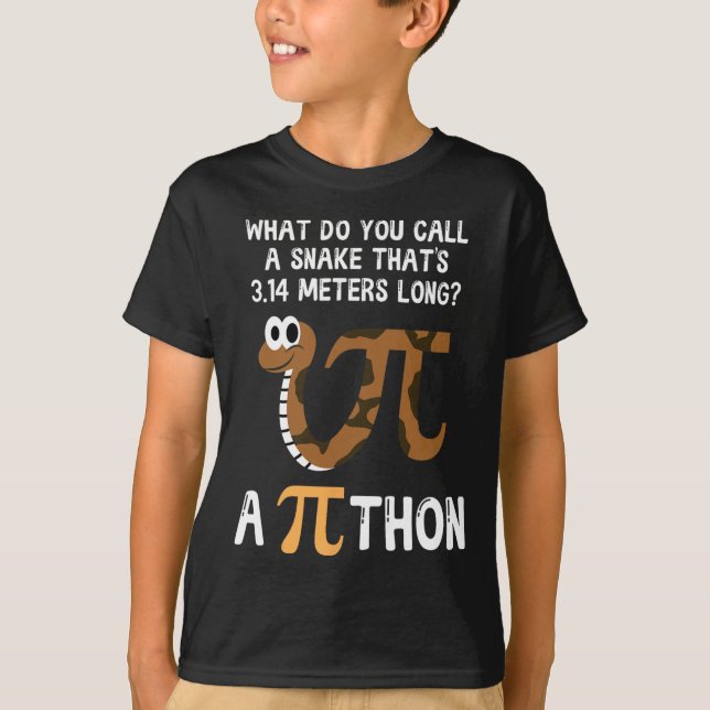 Pet Snake Math Pi Day Python T-Shirt (Vorderseite)