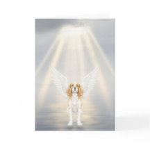 Pet Sympathy Card Always Remembered Sweet Friend