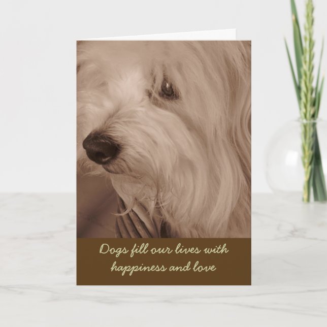 Pet Sympathy Card—Sepia White Dog Karte (Vorderseite)