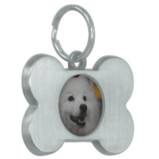 Pet-Tag - Maßgeschneidert Tiermarke