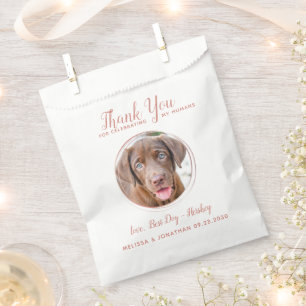 Pet Wedding Modern Rose Gold Hund Foto Vielen Dank Geschenktütchen