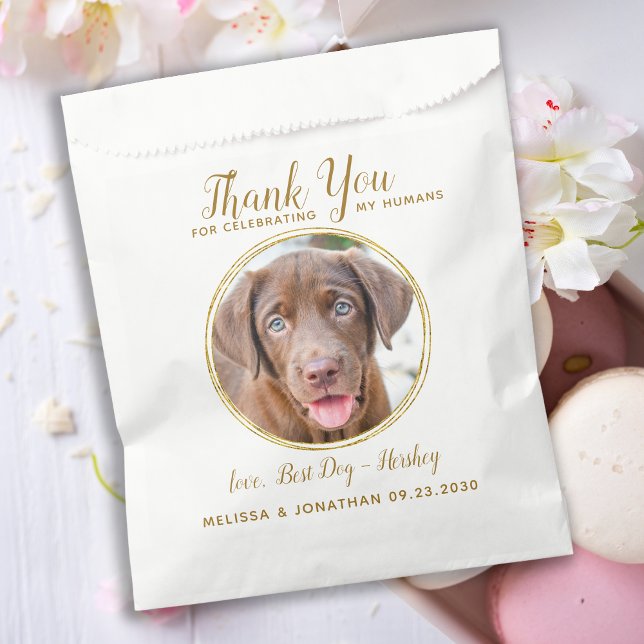 Pet Wedding Vielen Dank Custom Foto Elegante Gold Geschenktütchen (Von Creator hochgeladen)