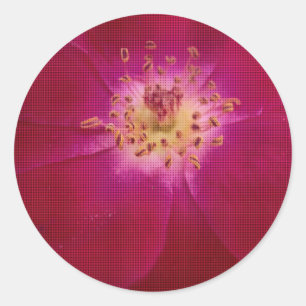 Petal Perfektion: Scheckte Rose Petal Muster Art Runder Aufkleber