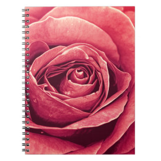 Petale der Rose Notizblock