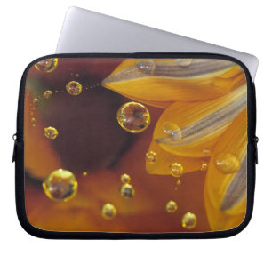 Petalen auf der reflektierenden Oberfläche von My Laptopschutzhülle