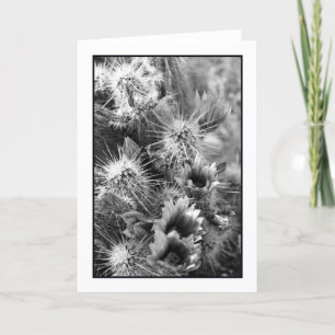 Petaloppositte Grußkarte Karte