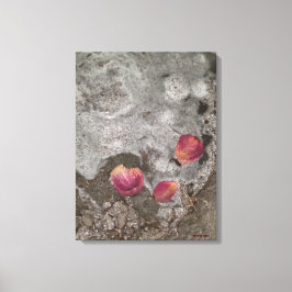 Petals Ashore Leinwanddruck