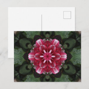 Petalsymphonie Postkarte