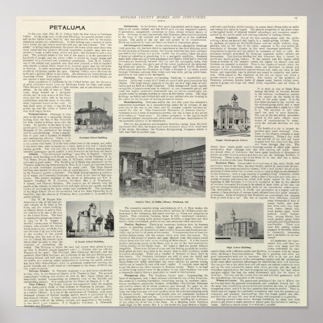 Petaluma, Kalifornien Poster (Vorne)