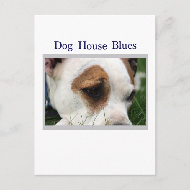 Pete Pit1 Postkarte (Vorderseite)