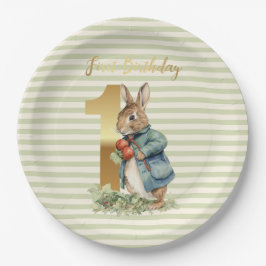 Peter das Kaninchen Gemüse pflücken ersten Geburts Pappteller