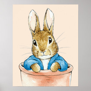 Peter das Kaninchen sitzt in einem Topf Poster